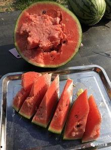 近期网红吃瓜事件,揭秘娱乐圈背后的真相与争议 第3张 近期网红吃瓜事件,揭秘娱乐圈背后的真相与争议 第3张